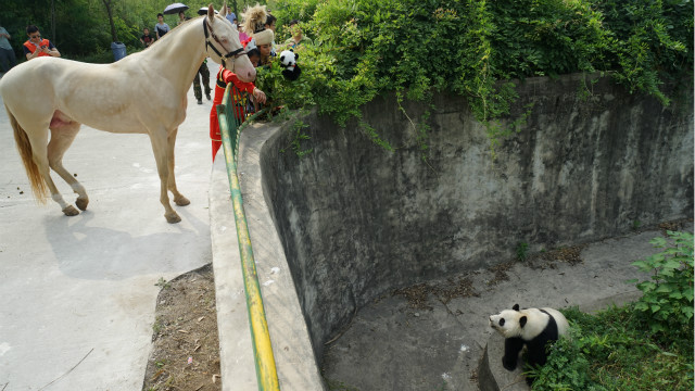 图片关键词