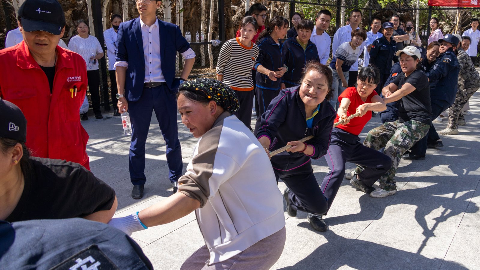 图片关键词