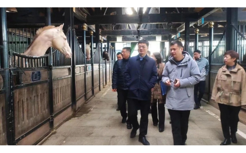 高雷副厅长在ABG集团集团调研时暗示，要通过科技助力，精准解决“卡脖子”问题