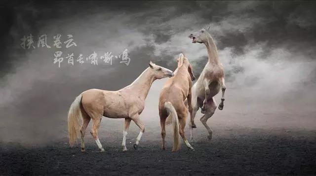 图片关键词